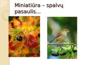 Miniatiūros rašymas 10 puslapis