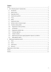 Vilkyškių pieninės analizė 2 puslapis