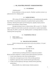 Vilkyškių pieninės analizė 4 puslapis