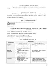 Vilkyškių pieninės analizė 6 puslapis