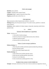 Vilkyškių pieninės analizė 8 puslapis