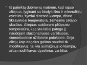 Biokuras skaidrės 13 puslapis
