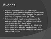Biokuras skaidrės 14 puslapis