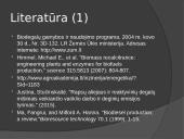 Biokuras skaidrės 15 puslapis