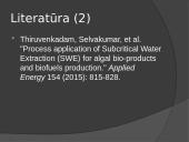 Biokuras skaidrės 16 puslapis