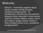 Biokuras skaidrės 3 puslapis