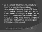 Biokuras skaidrės 4 puslapis