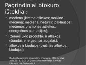 Biokuras skaidrės 5 puslapis