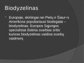 Biokuras skaidrės 9 puslapis