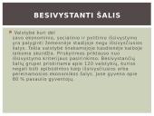 Besivystanti šalis 2 puslapis