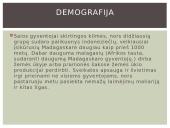 Besivystanti šalis 11 puslapis