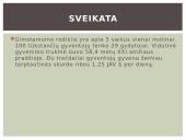 Besivystanti šalis 13 puslapis