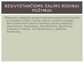 Besivystanti šalis 3 puslapis