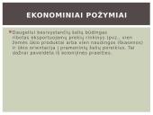 Besivystanti šalis 4 puslapis