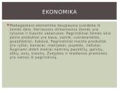 Besivystanti šalis 10 puslapis