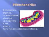 Ląstelinis kvėpavimas 3 puslapis