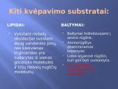 Ląstelinis kvėpavimas 10 puslapis