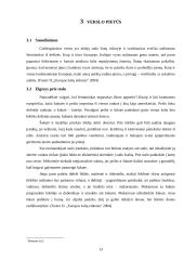 Verslo komunikacijos su Italija ypatumai darbas-projektas 13 puslapis