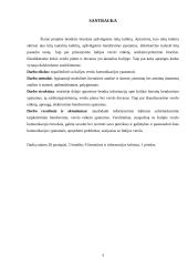 Verslo komunikacijos su Italija ypatumai darbas-projektas 3 puslapis