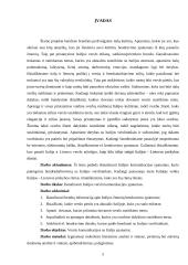 Verslo komunikacijos su Italija ypatumai darbas-projektas 5 puslapis