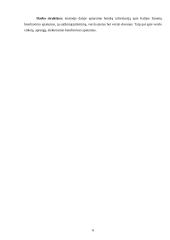 Verslo komunikacijos su Italija ypatumai darbas-projektas 6 puslapis