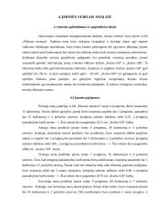 "Šildymo meistrai" įmonės veiklos analizė 2 puslapis