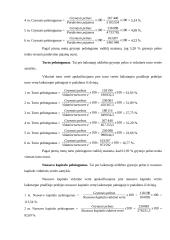 "Šildymo meistrai" įmonės veiklos analizė 11 puslapis