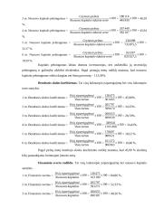 "Šildymo meistrai" įmonės veiklos analizė 12 puslapis