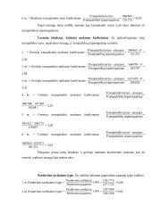 "Šildymo meistrai" įmonės veiklos analizė 14 puslapis