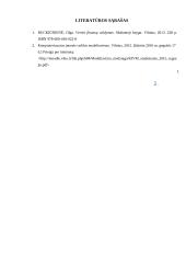 "Šildymo meistrai" įmonės veiklos analizė 17 puslapis