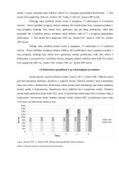 "Šildymo meistrai" įmonės veiklos analizė 3 puslapis