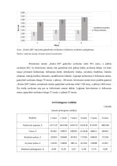 "Šildymo meistrai" įmonės veiklos analizė 6 puslapis