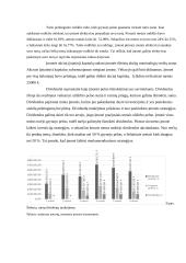 "Šildymo meistrai" įmonės veiklos analizė 8 puslapis