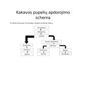 Šokolado skonis ir jį suteikiantys komponentai 5 puslapis