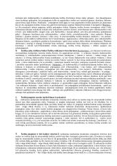 Sintaksės egzaminas 2 puslapis