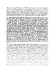 Sintaksės egzaminas 11 puslapis