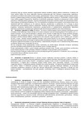 Sintaksės egzaminas 13 puslapis