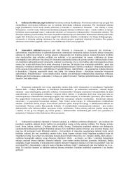 Sintaksės egzaminas 6 puslapis