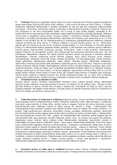 Sintaksės egzaminas 8 puslapis