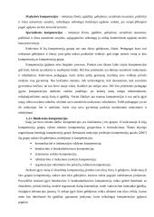 Pedagogo kompetencijų portfelis 12 puslapis
