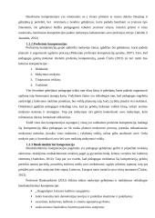 Pedagogo kompetencijų portfelis 13 puslapis