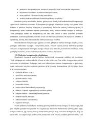 Pedagogo kompetencijų portfelis 14 puslapis
