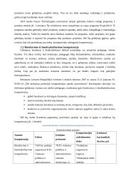 Pedagogo kompetencijų portfelis 18 puslapis