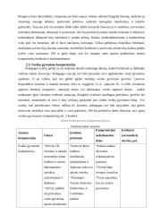 Pedagogo kompetencijų portfelis 20 puslapis