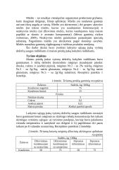 Laikymo sąlygų ir skonio maisto priedų įtaka vytintų dešrelių kokybės ir saugos rodikliams 2 puslapis