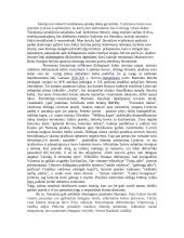 Istorinė patirtis atskleidžiama literatūroje. Kokią patirtį atskleidžia lietuvių rašytojų kūriniai? 3 puslapis