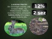 Kailių ir avikailių apžvalga 12 puslapis