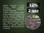 Kailių ir avikailių apžvalga 13 puslapis