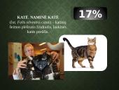 Kailių ir avikailių apžvalga 14 puslapis