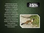 Kailių ir avikailių apžvalga 16 puslapis